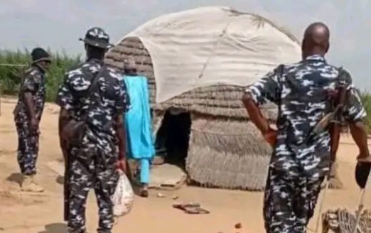 1000171266-e1761742711938-696x347